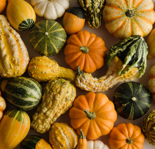 Fall foods with skin and body benefits